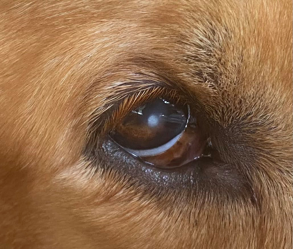 Photo from mid March